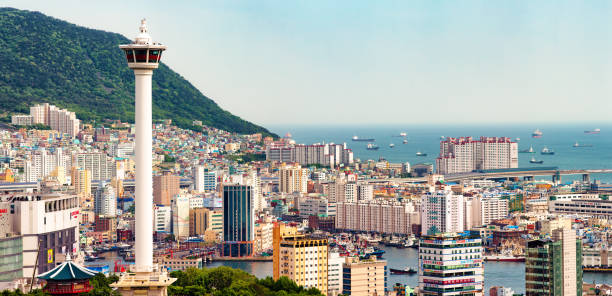 남포동 거리 OP