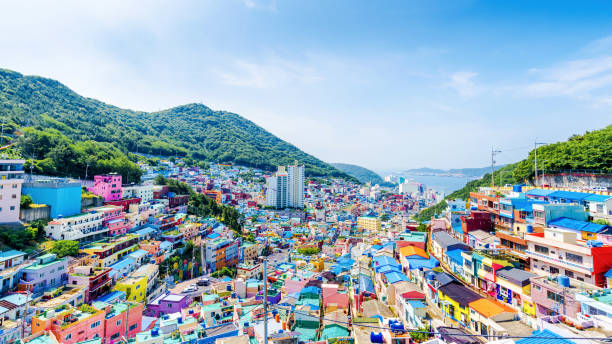 사상 24시 OP